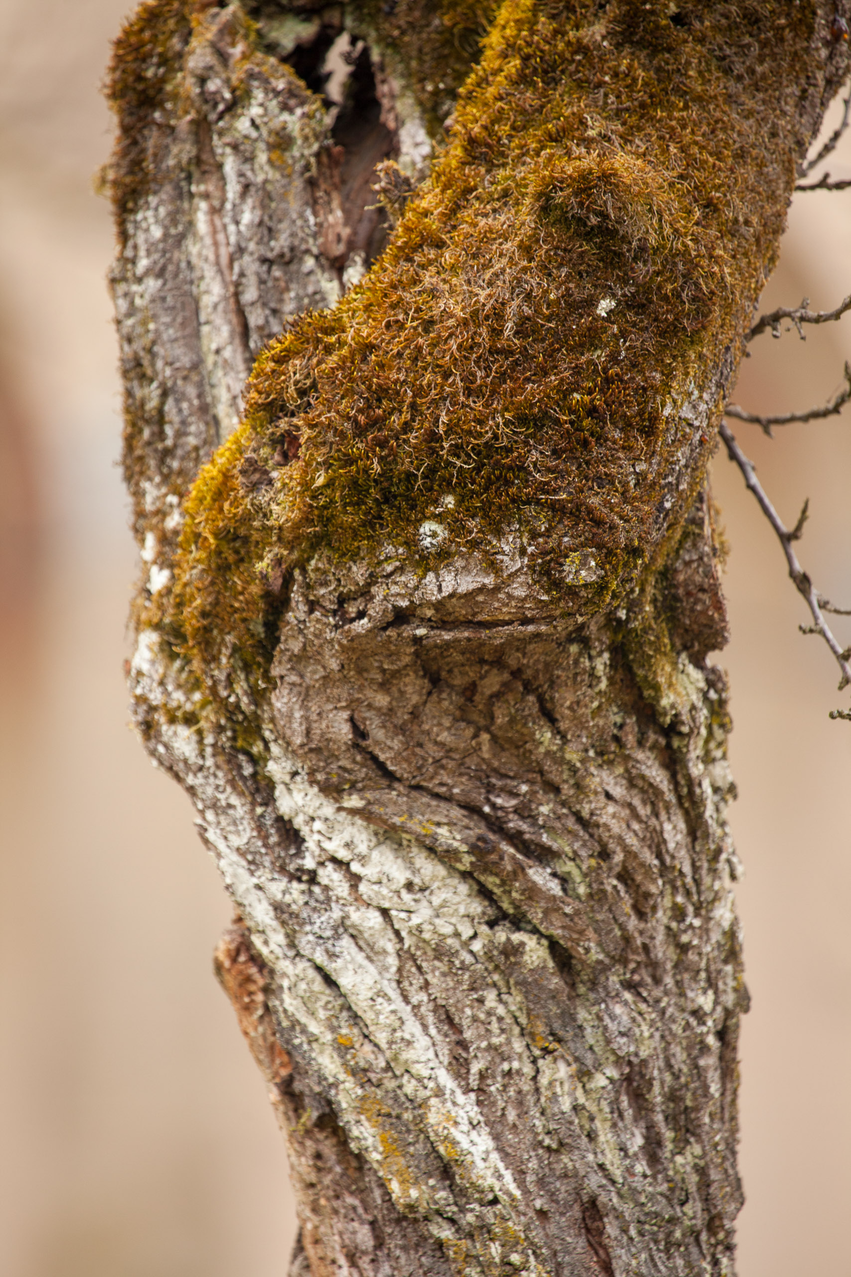 20110313133505 IMG 7260